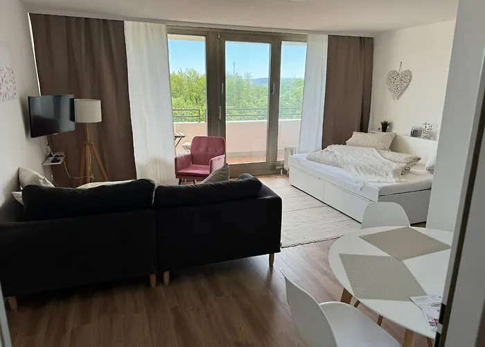 1 Zimmer Wohnung Mit Balkon Und Kueche