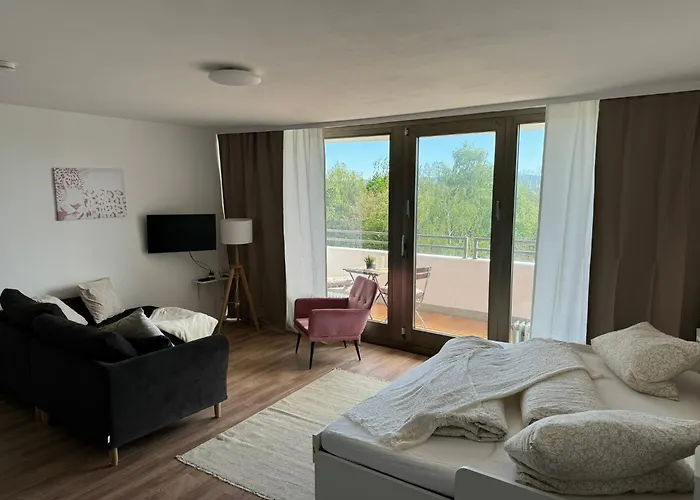 1 Zimmer Wohnung Mit Balkon Und Kueche